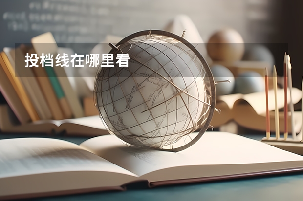 投档线在哪里看