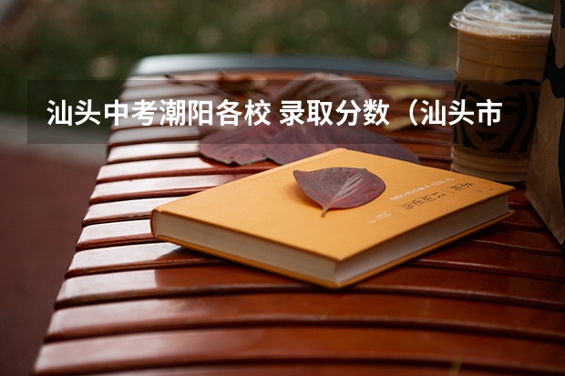 汕头中考潮阳各校 录取分数（汕头市潮阳区中考各学校录取分数线）