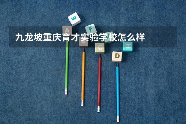 九龙坡重庆育才实验学校怎么样