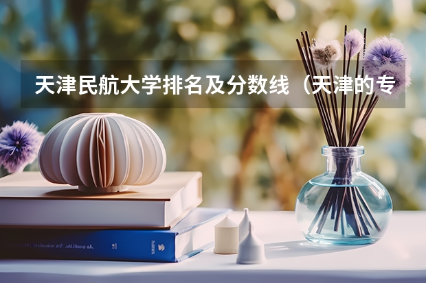 天津民航大学排名及分数线（天津的专科学校排名及分数线）
