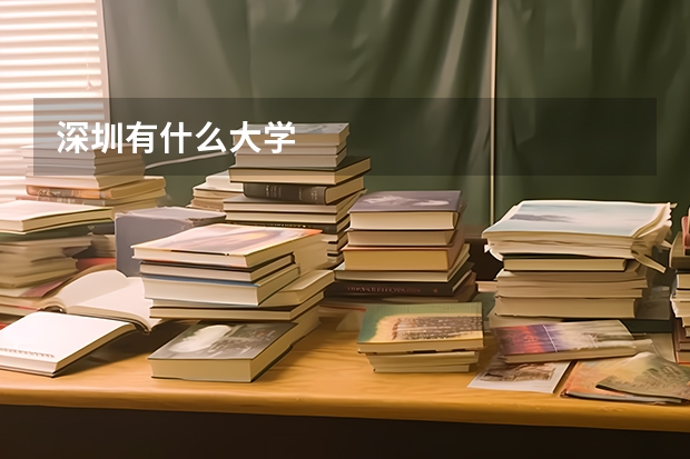 深圳有什么大学