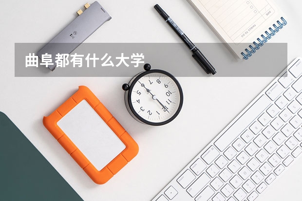 曲阜都有什么大学