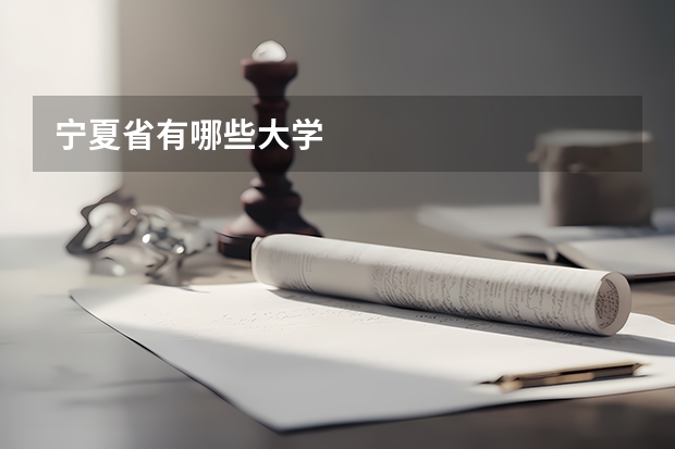宁夏省有哪些大学