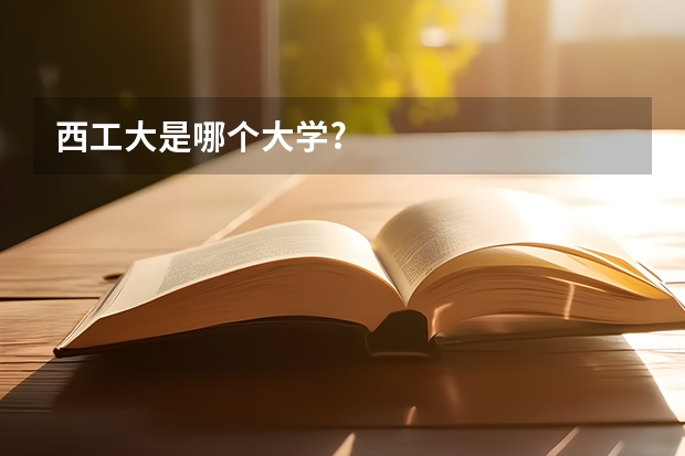 西工大是哪个大学?