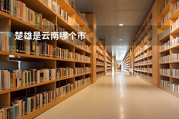 楚雄是云南哪个市
