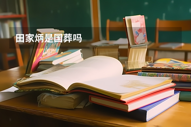 田家炳是国葬吗