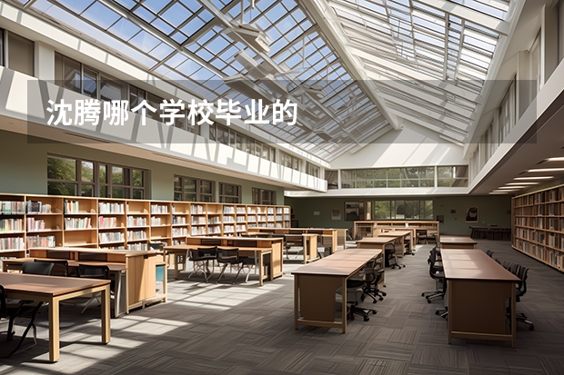 沈腾哪个学校毕业的