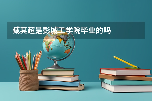臧其超是彭城工学院毕业的吗