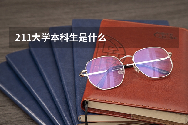 211大学本科生是什么
