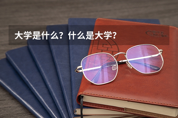 大学是什么？什么是大学？