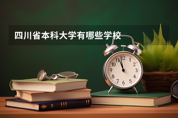 四川省本科大学有哪些学校