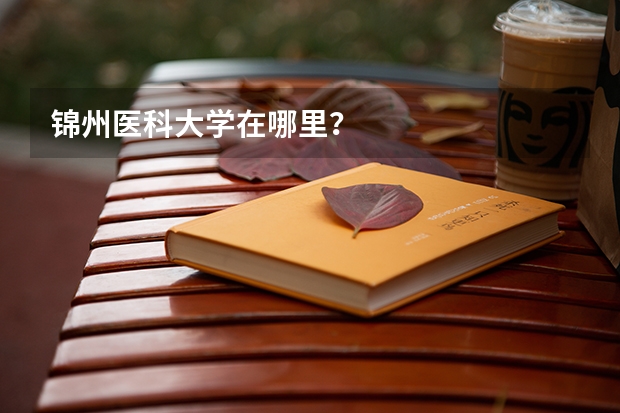 锦州医科大学在哪里？