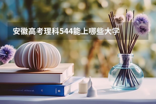 安徽高考理科544能上哪些大学