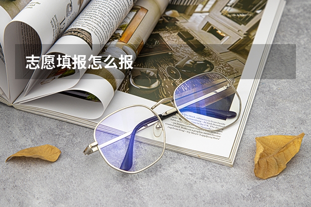 志愿填报怎么报