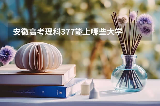 安徽高考理科377能上哪些大学