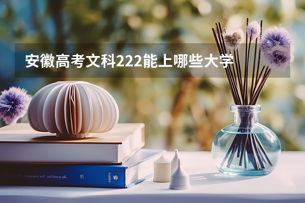 安徽高考文科222能上哪些大学