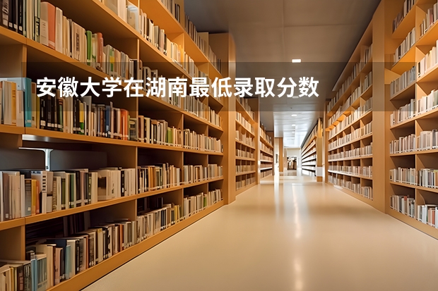 安徽大学在湖南最低录取分数