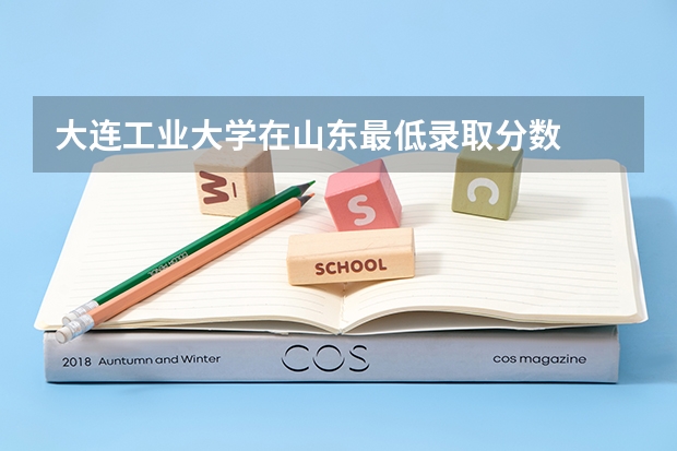 大连工业大学在山东最低录取分数