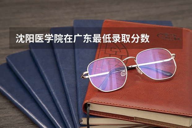 沈阳医学院在广东最低录取分数