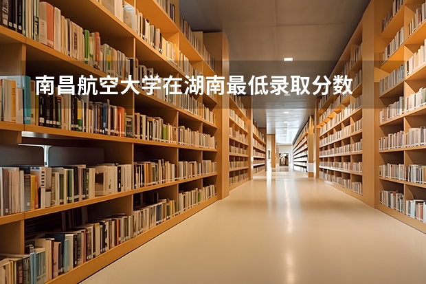 南昌航空大学在湖南最低录取分数
