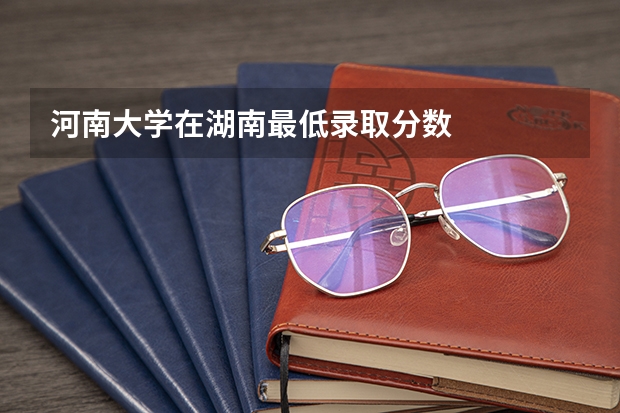 河南大学在湖南最低录取分数