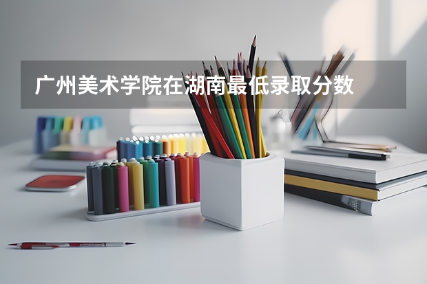 广州美术学院在湖南最低录取分数
