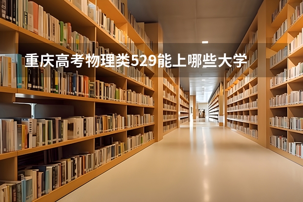 重庆高考物理类529能上哪些大学