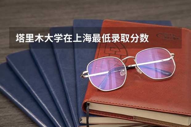 塔里木大学在上海最低录取分数