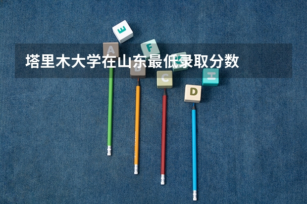 塔里木大学在山东最低录取分数