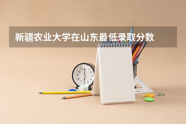 新疆农业大学在山东最低录取分数
