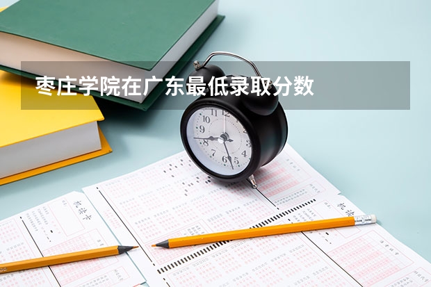 枣庄学院在广东最低录取分数