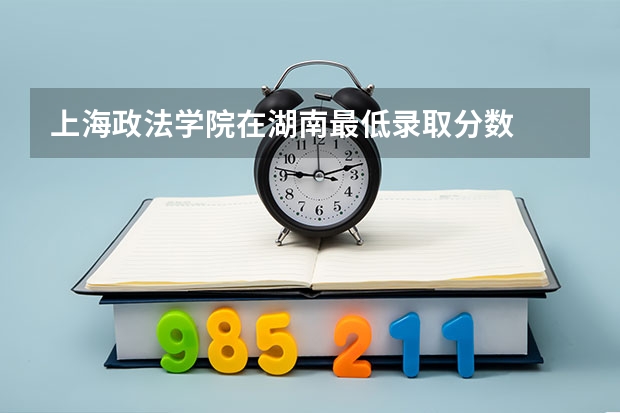 上海政法学院在湖南最低录取分数