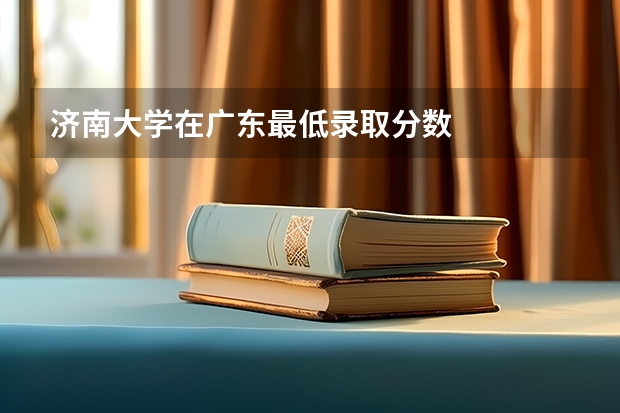 济南大学在广东最低录取分数