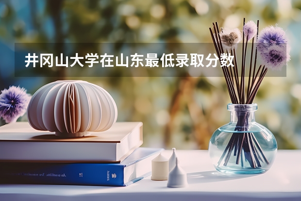 井冈山大学在山东最低录取分数