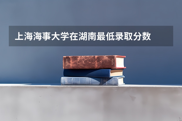 上海海事大学在湖南最低录取分数