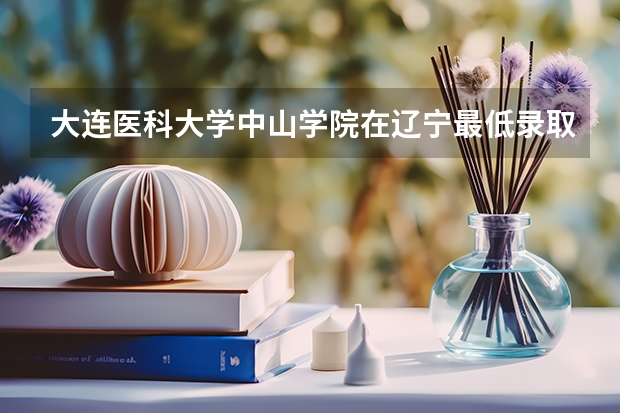 大连医科大学中山学院在辽宁最低录取分数