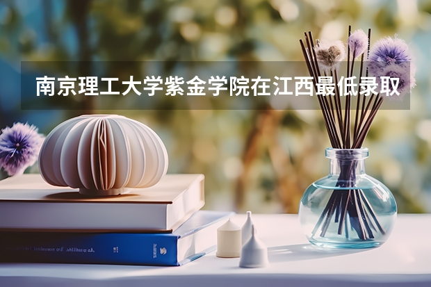 南京理工大学紫金学院在江西最低录取分数
