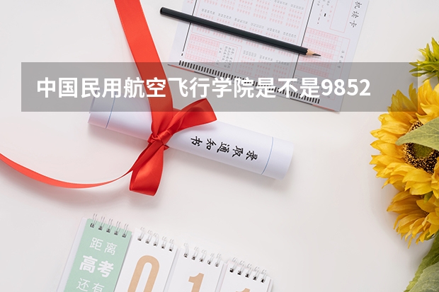中国民用航空飞行学院是不是985/211学校