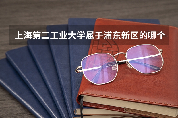 上海第二工业大学属于浦东新区的哪个地区？