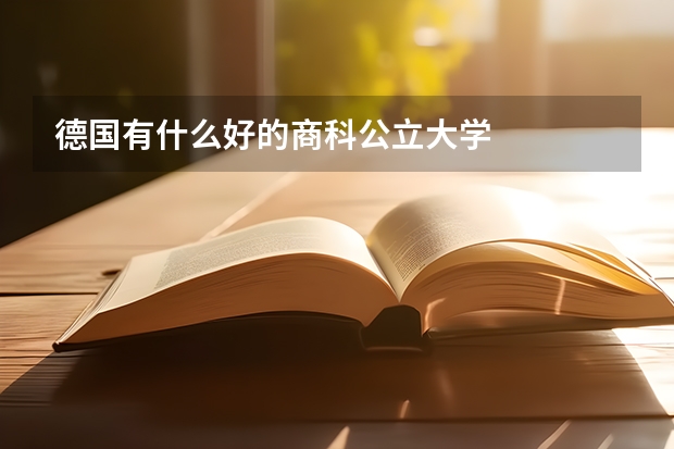 德国有什么好的商科公立大学