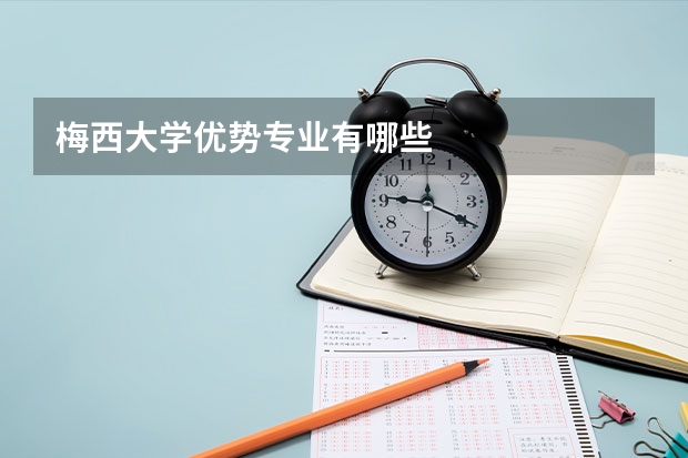 梅西大学优势专业有哪些