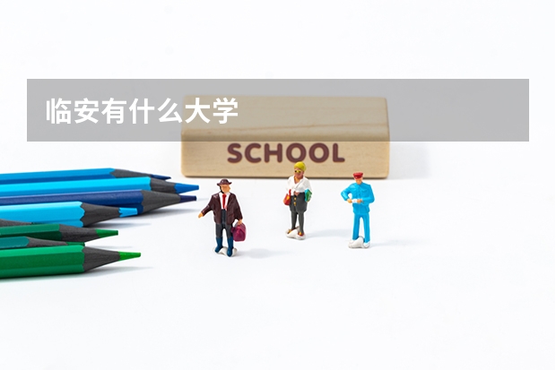 临安有什么大学
