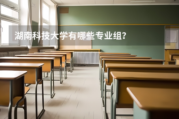 湖南科技大学有哪些专业组？