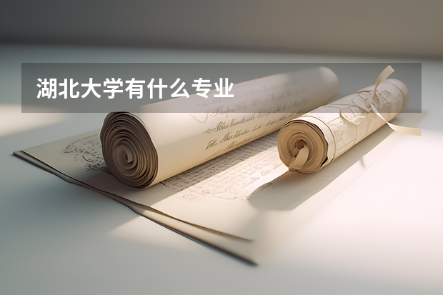湖北大学有什么专业