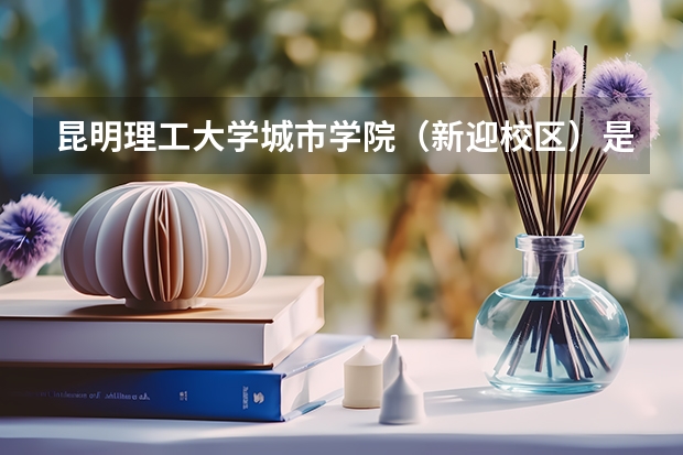 昆明理工大学城市学院（新迎校区）是几本？有前途吗？