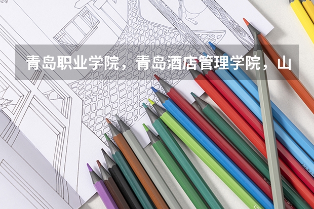 青岛职业学院，青岛酒店管理学院，山东外贸学院，青岛港湾职业学院哪个比较好