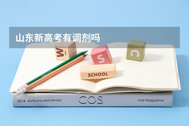 山东新高考有调剂吗