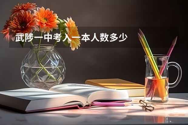 武陟一中考入一本人数多少