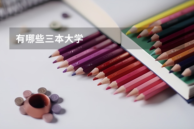 有哪些三本大学