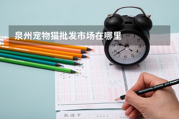 泉州宠物猫批发市场在哪里